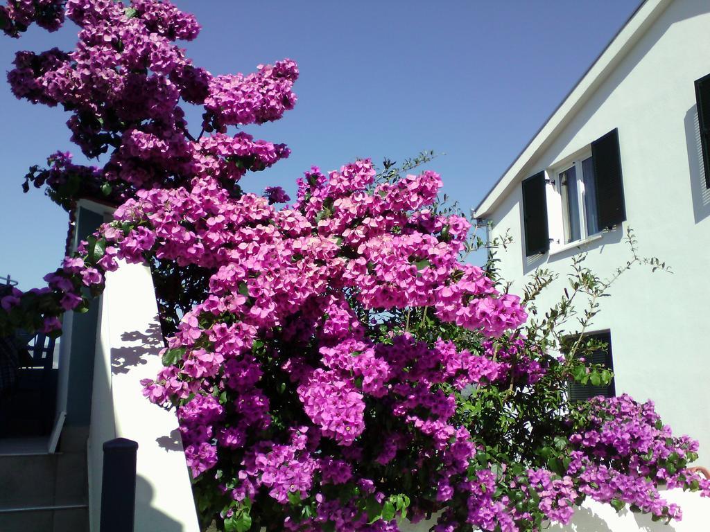 Blue View Apartments Trogir Exterior foto